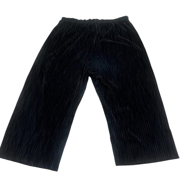 Silense + Noise Casual  Pants Womens Size L Black Pleated Wide-Leg Pull-On - Picture 3 of 8